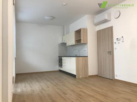 Pronájem bytu, 1+kk, 41 m²