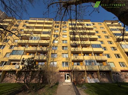 Pronájem bytu, 2+1, 55 m²