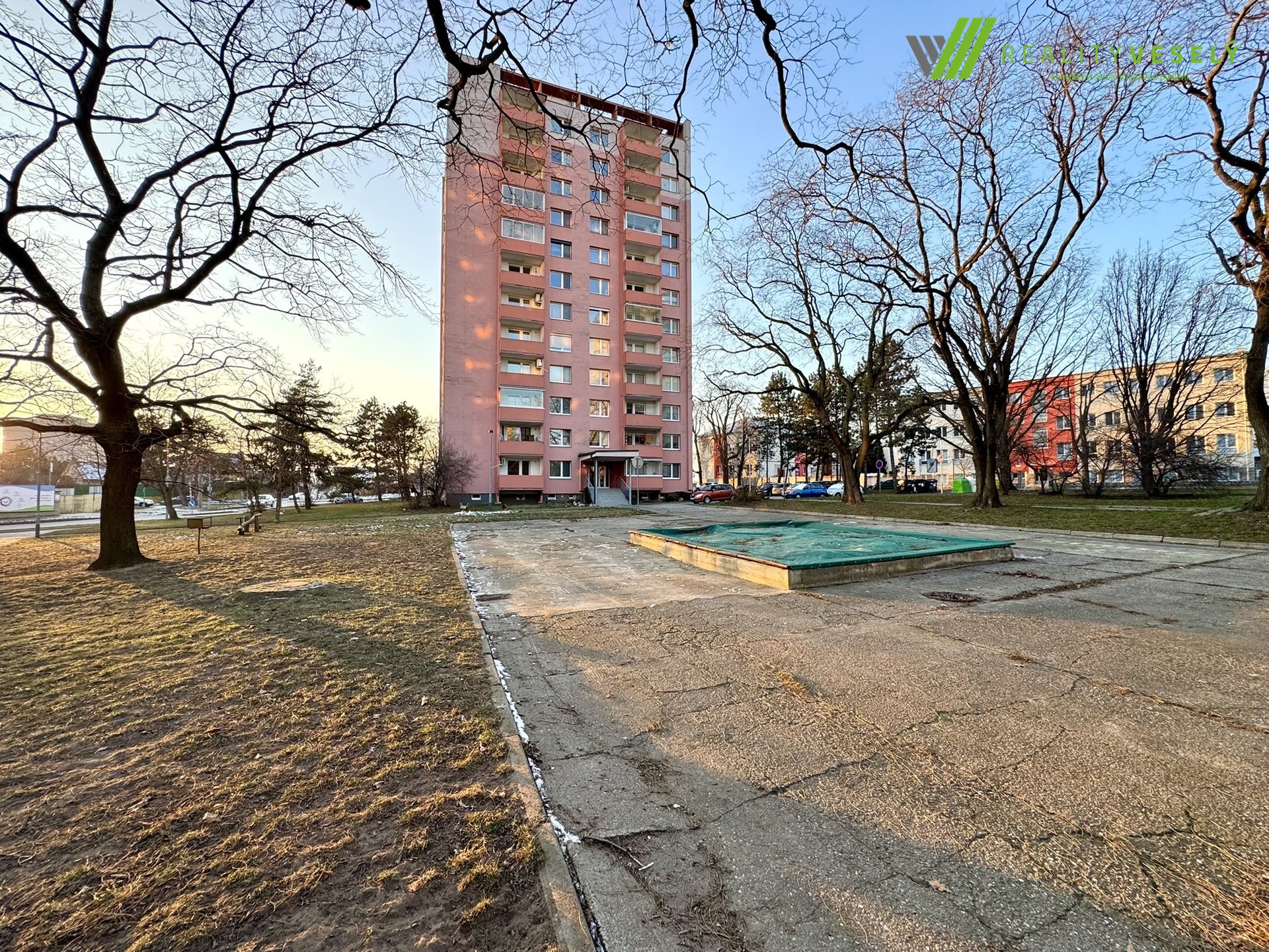 IMG_9696
