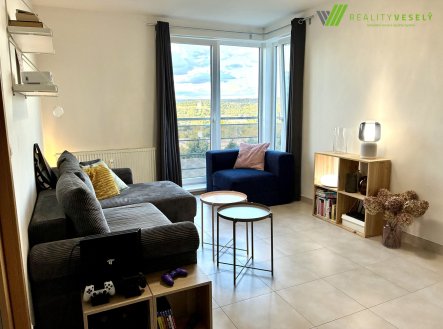 Pronájem bytu 2+1 60 m², Brno