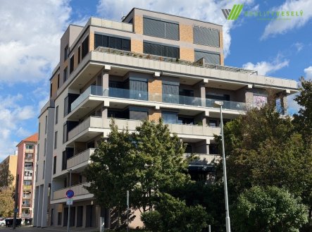 Pronájem bytu 1+kk 25 m², Hodonín