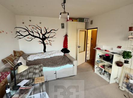 Pronájem bytu, 1+kk, 27 m²