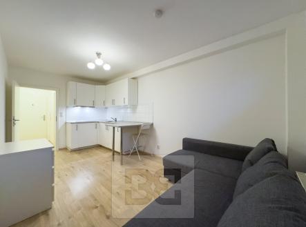 Pronájem bytu, 1+kk, 21 m²