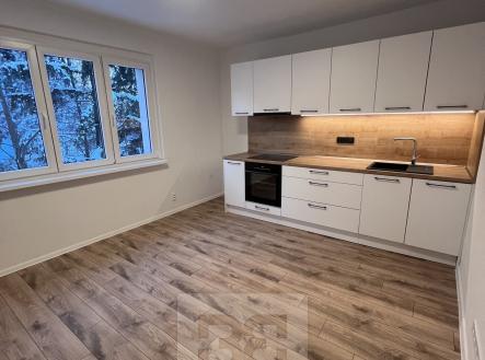 Pronájem bytu, 3+kk, 57 m²