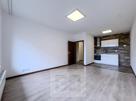 Pronájem bytu, 2+kk, 49 m²