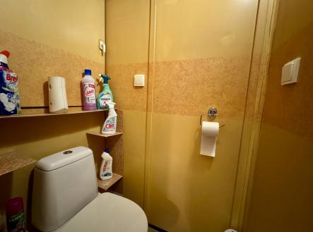 Pronájem bytu, 2+1, 55 m²