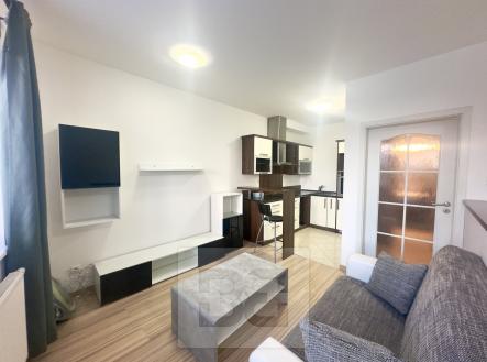 Pronájem bytu, 1+kk, 33 m²