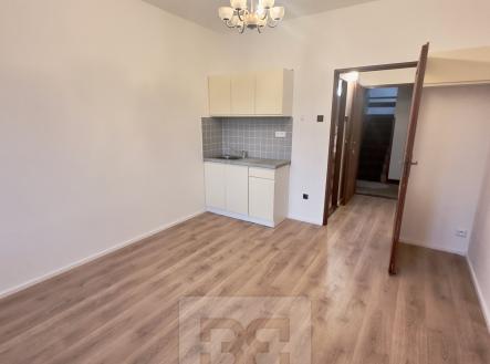 Pronájem bytu, 1+kk, 19 m²