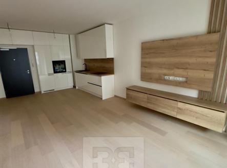 Pronájem bytu, 1+kk, 48 m²