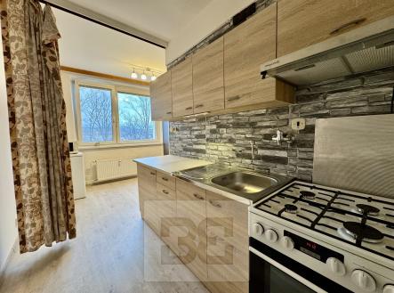 Pronájem bytu, 2+1, 54 m²