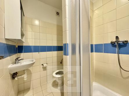 Pronájem bytu, 1+kk, 22 m²