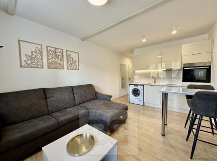 Pronájem bytu, 1+kk, 30 m²