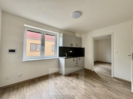 Pronájem komerčního objektu, jiný, 50 m²