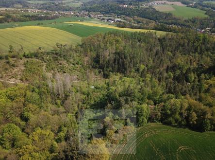 Prodej pozemku, les, 4 369 m²