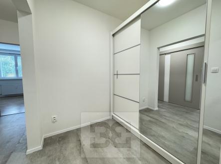 Pronájem bytu, 2+1, 45 m²