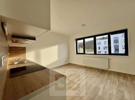 Pronájem bytu, 1+kk, 30 m²