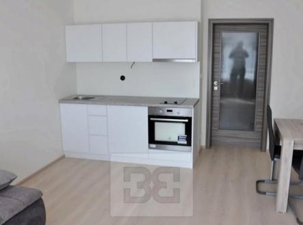 Pronájem bytu, 1+kk, 29 m²