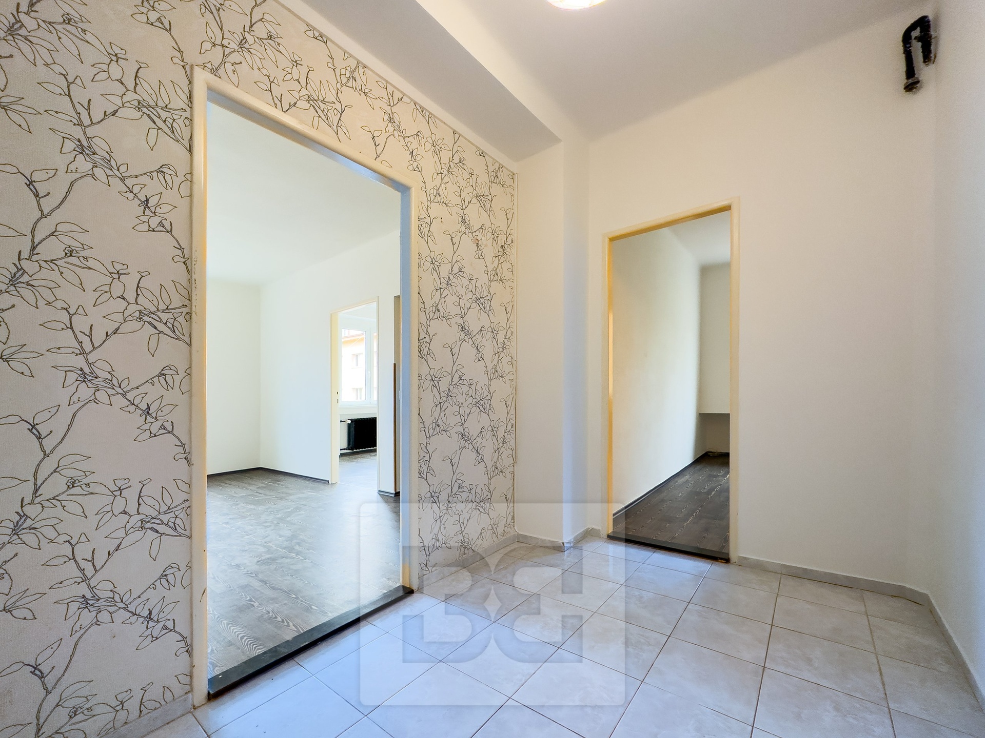 Fotku se nepodařilo načíst.