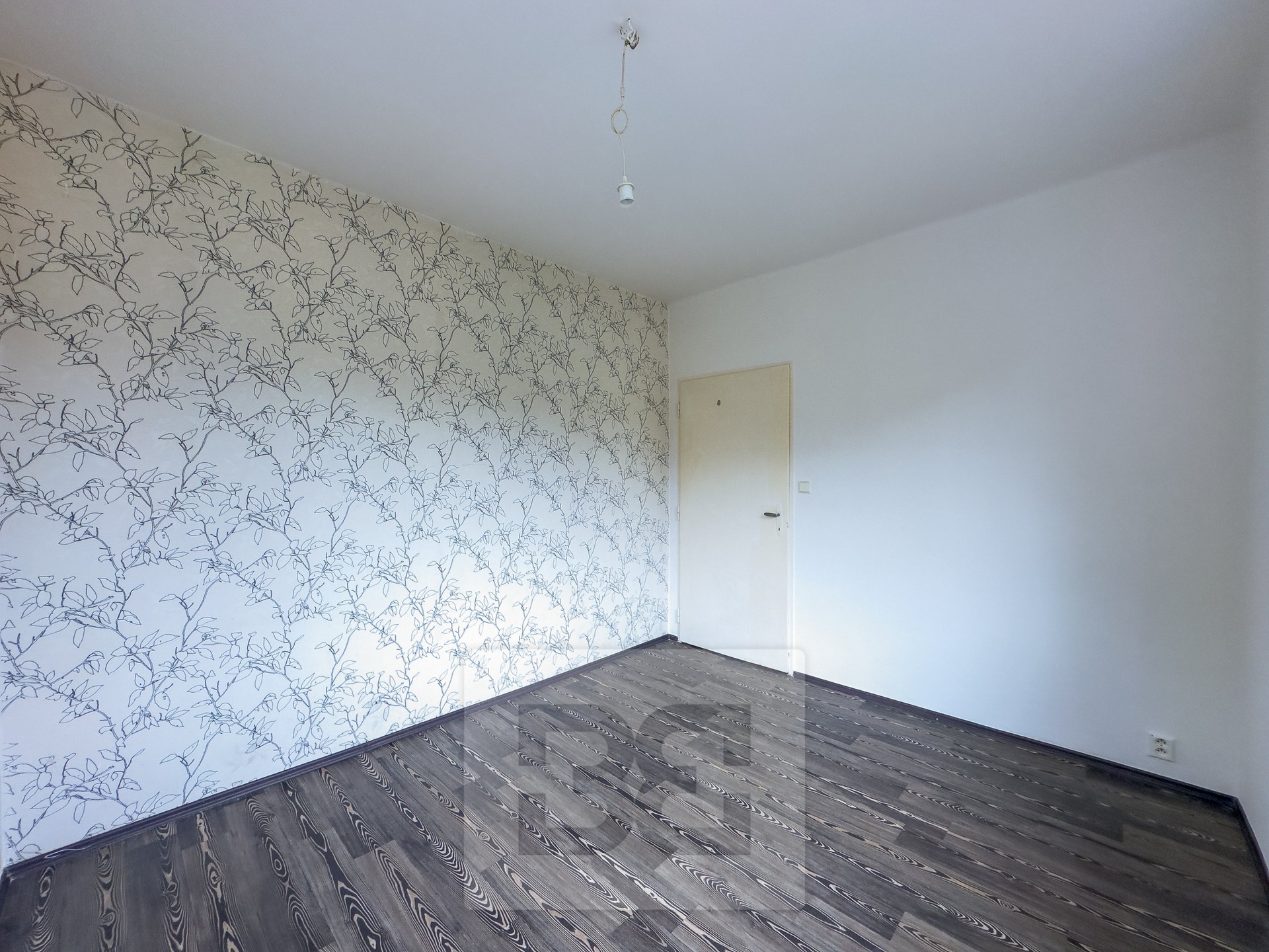 Fotku se nepodařilo načíst.