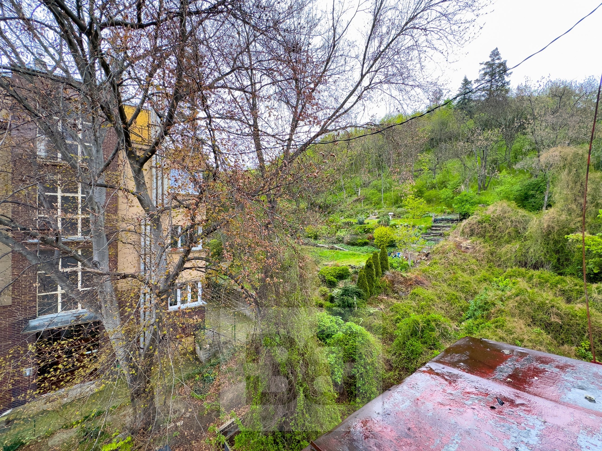 Fotku se nepodařilo načíst.