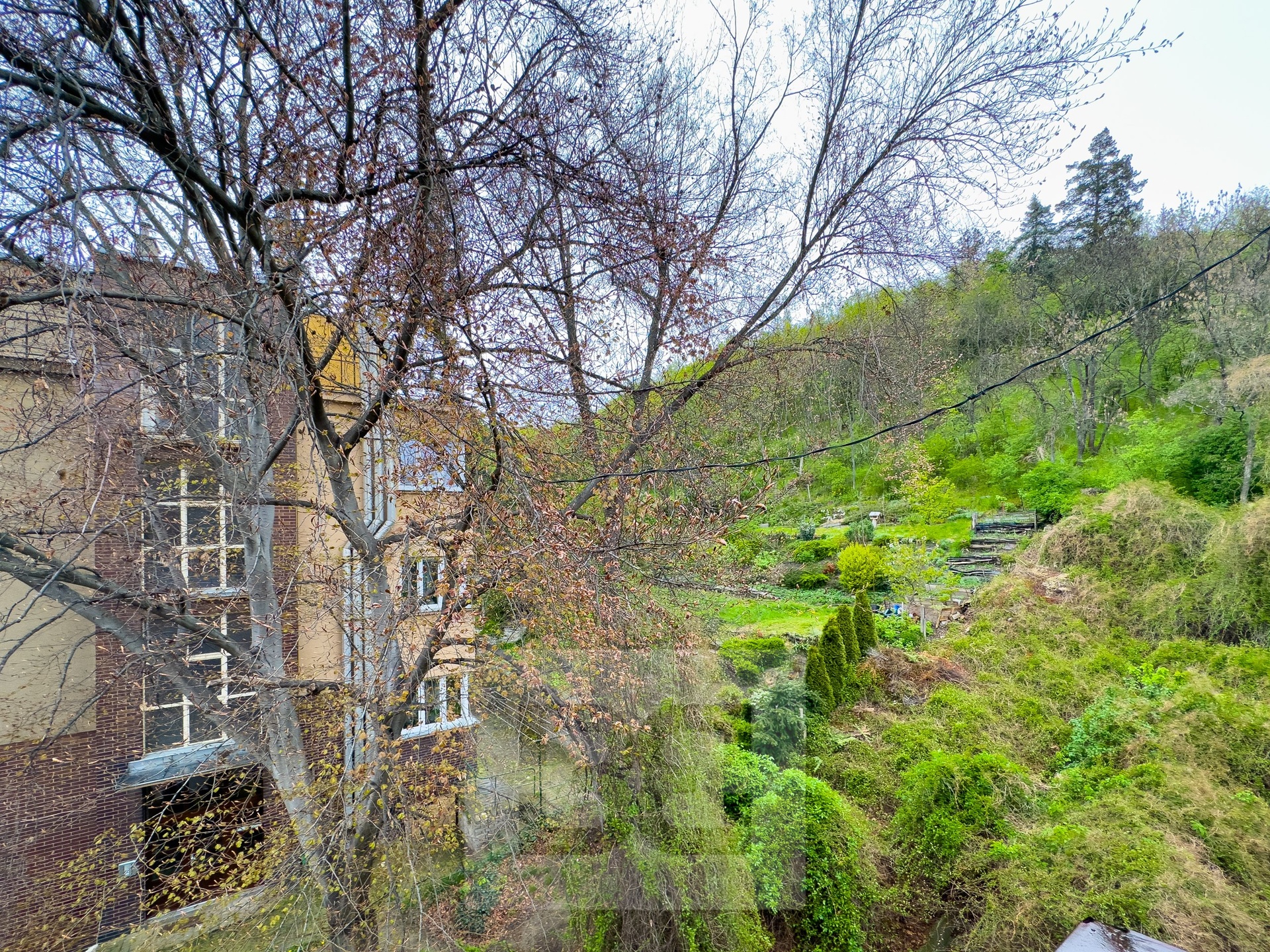 Fotku se nepodařilo načíst.