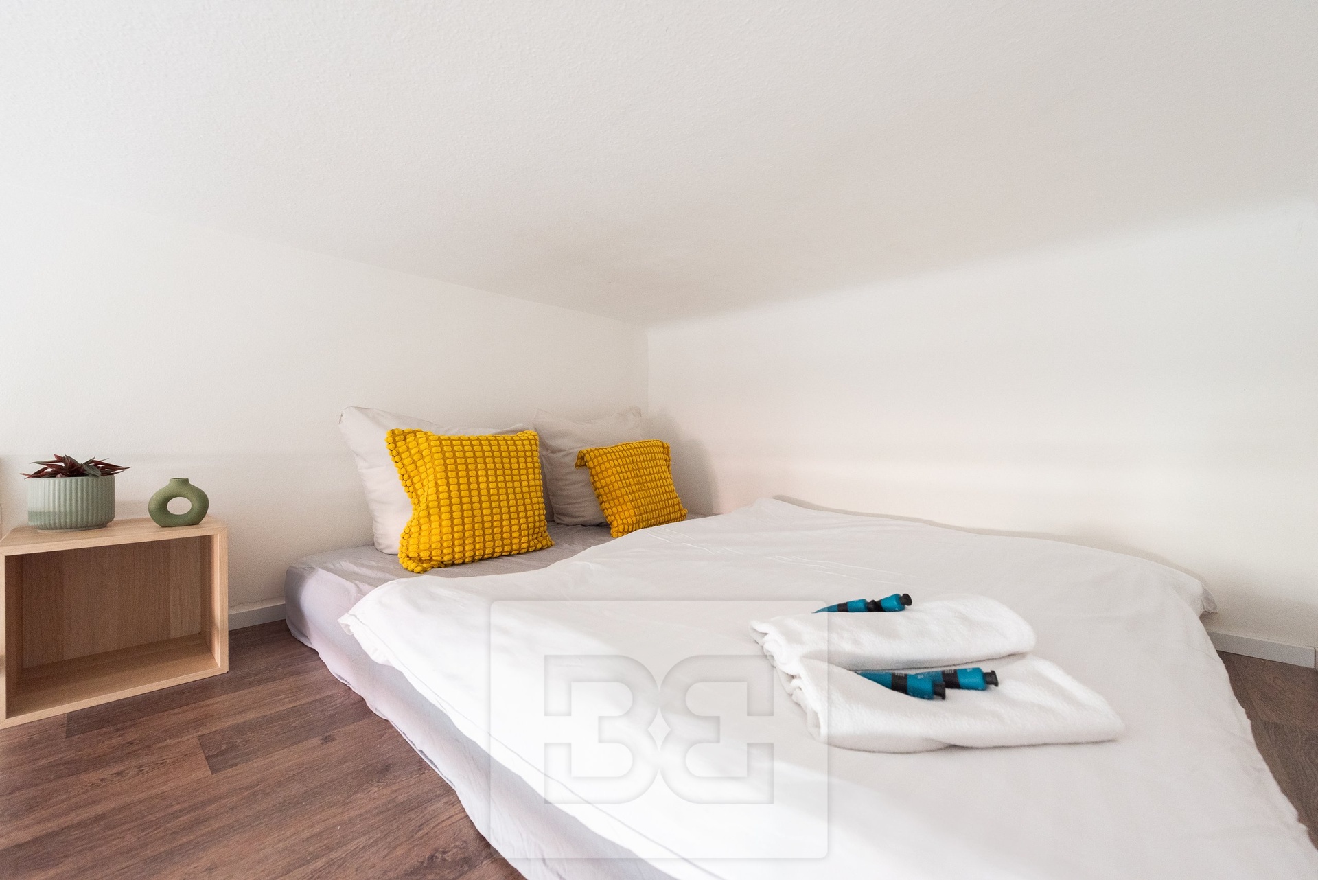 Fotku se nepodařilo načíst.