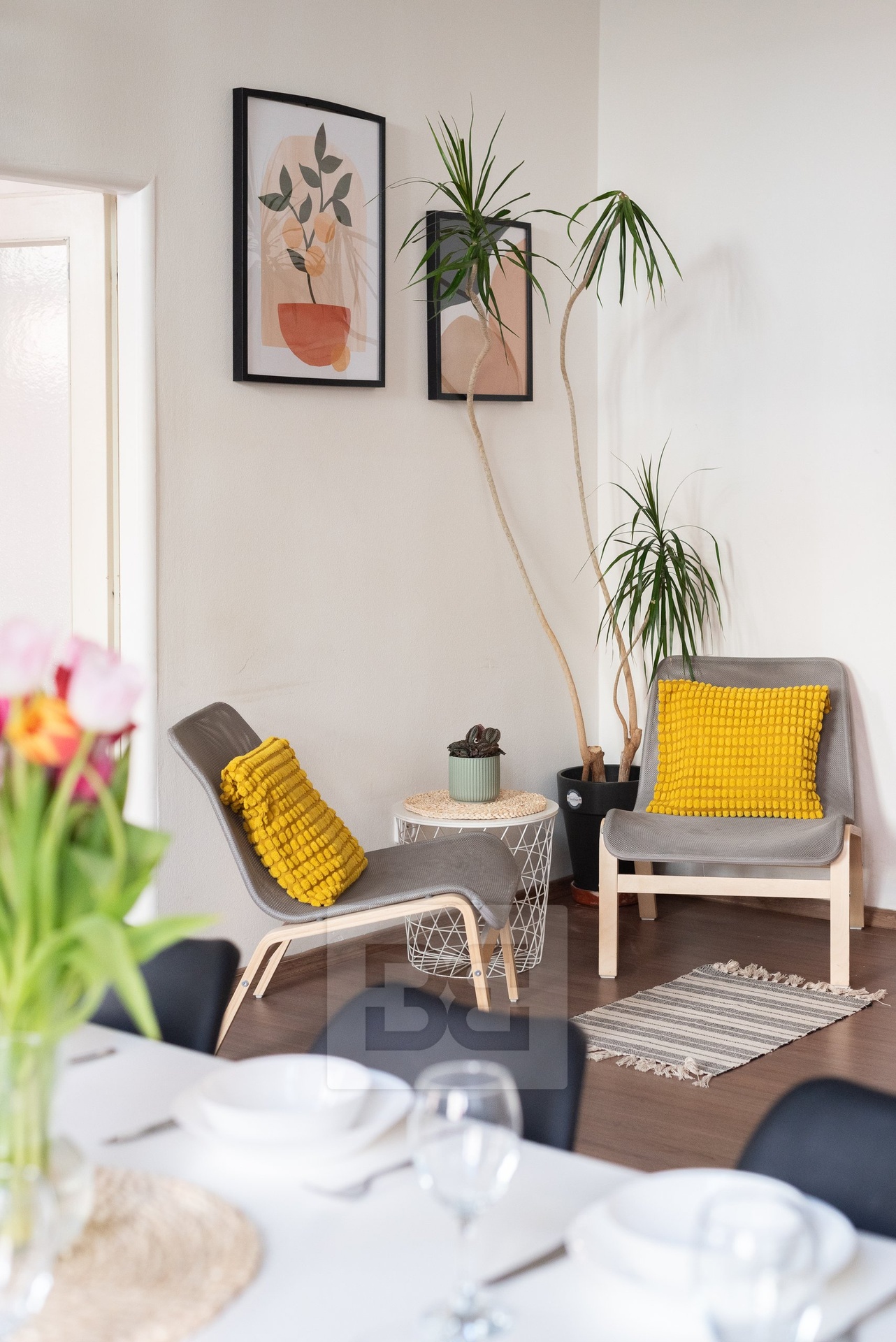 Fotku se nepodařilo načíst.