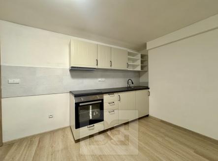Pronájem bytu, 1+kk, 65 m²