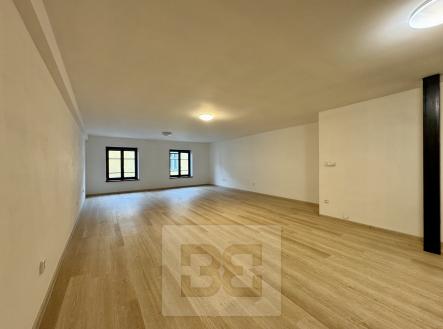 Pronájem bytu, 1+kk, 65 m²