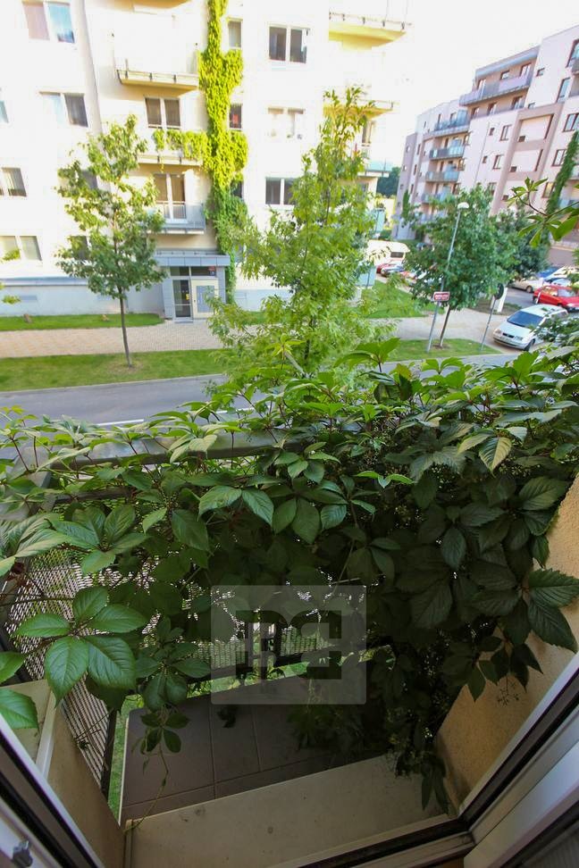 Fotku se nepodařilo načíst.