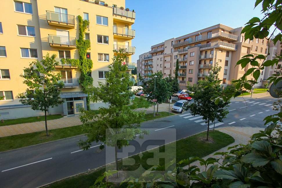 Fotku se nepodařilo načíst.