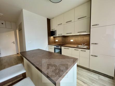 Pronájem bytu, 1+kk, 44 m²