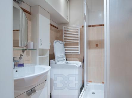 Pronájem bytu, 1+kk, 26 m²