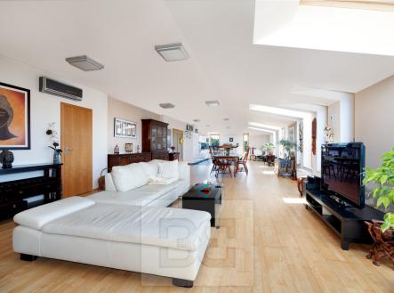 Prodej bytu, 6+kk, 264 m²