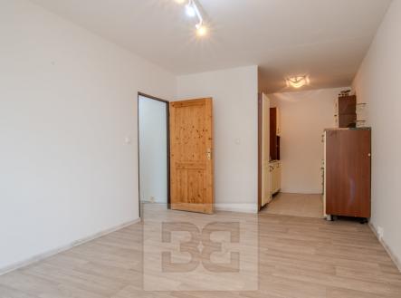 Prodej bytu, 2+kk, 44 m²