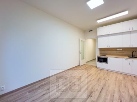 Pronájem bytu, 1+kk, 27 m²