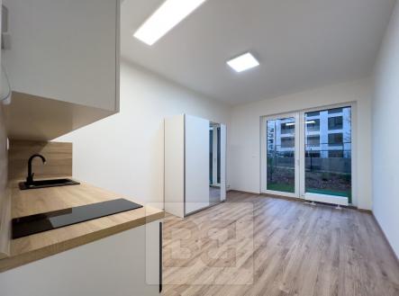 Pronájem bytu, 1+kk, 27 m²