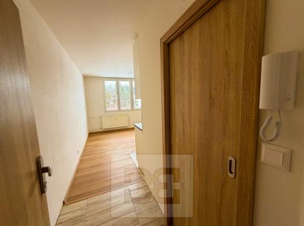 Pronájem bytu, 1+kk, 23 m²