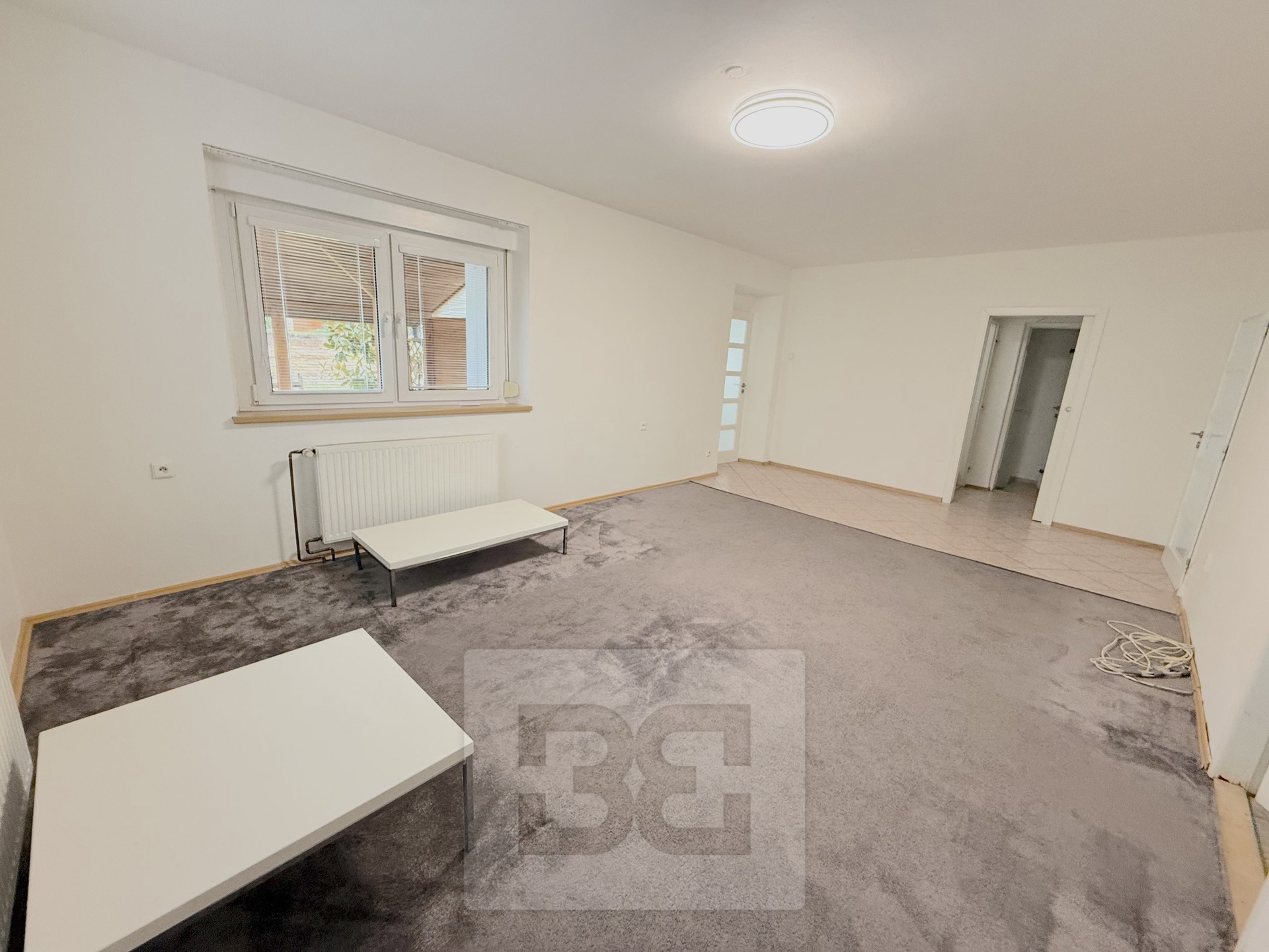 Fotku se nepodařilo načíst.