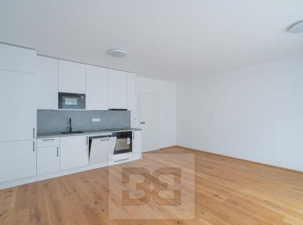 Pronájem bytu, 1+kk, 43 m²