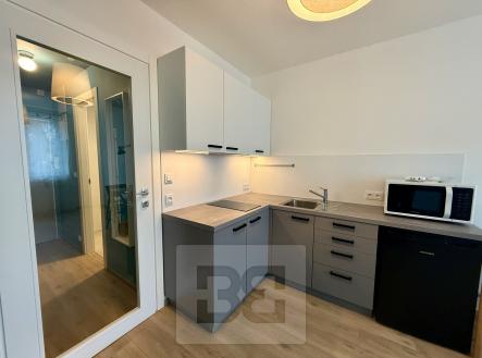 Pronájem bytu, 1+1, 25 m²