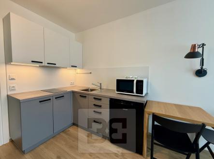 Pronájem bytu, 1+1, 25 m²