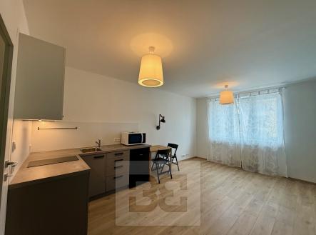 Pronájem bytu, 1+kk, 25 m²