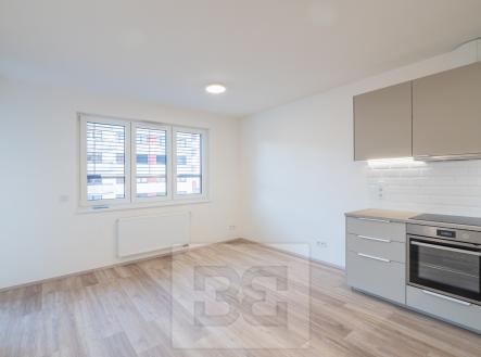 Pronájem bytu, 2+kk, 42 m²