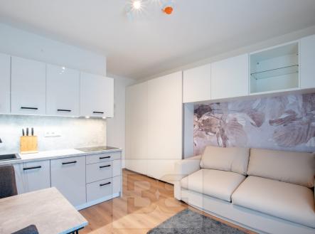 Pronájem bytu, 1+kk, 22 m²