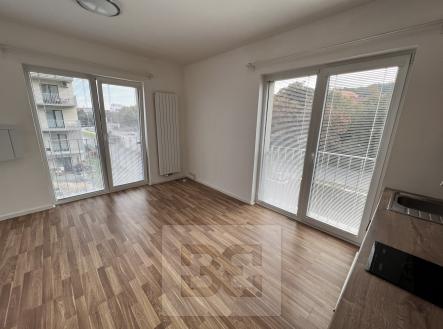 Pronájem bytu, 1+kk, 25 m²