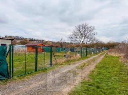 Pronájem pozemku, zahrada, 270 m²