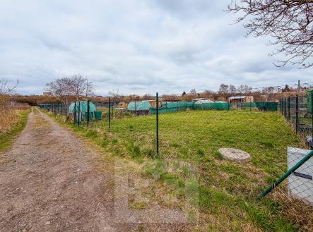 Pronájem pozemku, zahrada, 270 m²