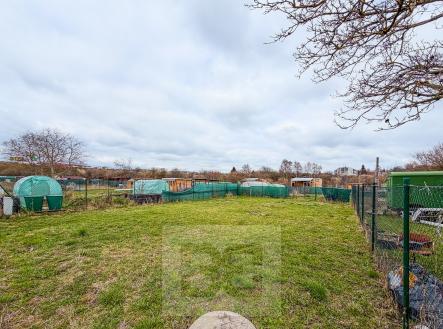 Pronájem pozemku, zahrada, 270 m²