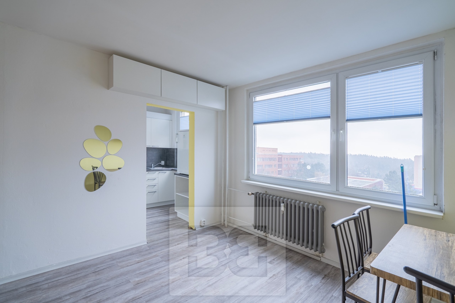 Pronájem bytu 1+1 35 m², Praha - Troja